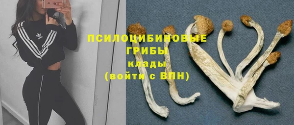 2c-b Белоозёрский