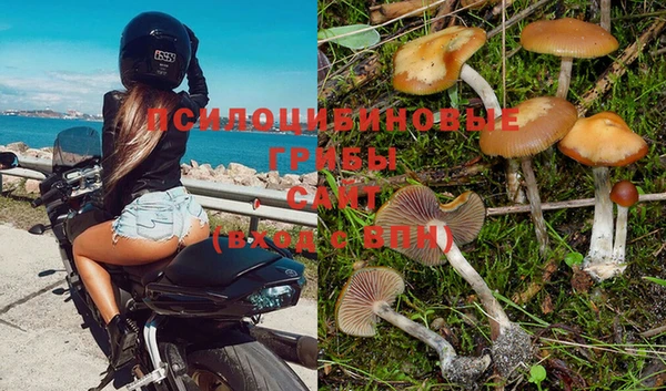 дурь Белокуриха